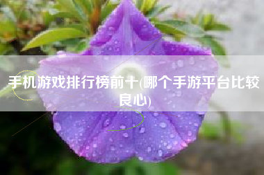 手机双人游戏好玩的推荐_好玩的双人游戏手机_好玩儿的双人手机游戏