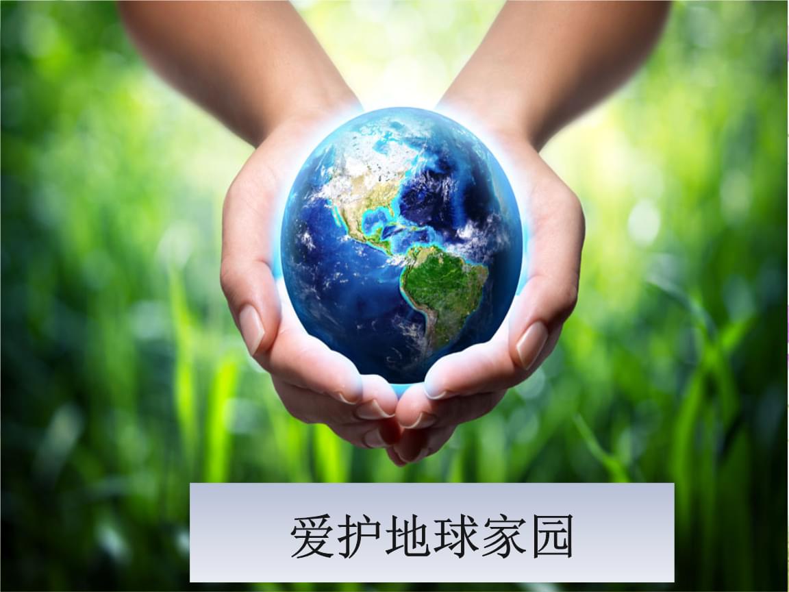 神秘水狐的悲伤与希望：人类活动对其家园的破坏