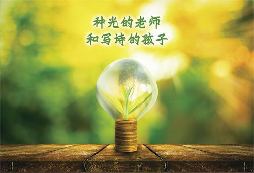 本名和幸：艺术界的璀璨之星，点亮灰暗世界的那束光