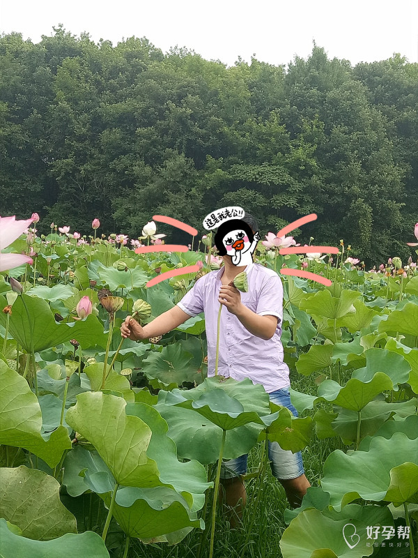 手机游戏采花-采花大盗：手机游戏中的浪漫冒险与挑战
