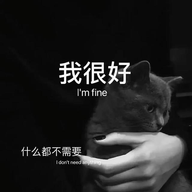 微信收藏空间有多大-微信收藏：手机里的神奇宝藏空间，无限容量