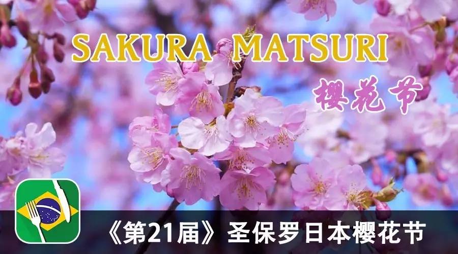 日本樱花节：浪漫与期待的盛宴，文化传承的盛典