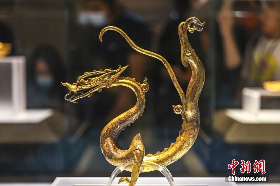 壬龙：古老传说中的神秘生物，代表民族历史与文化的符号