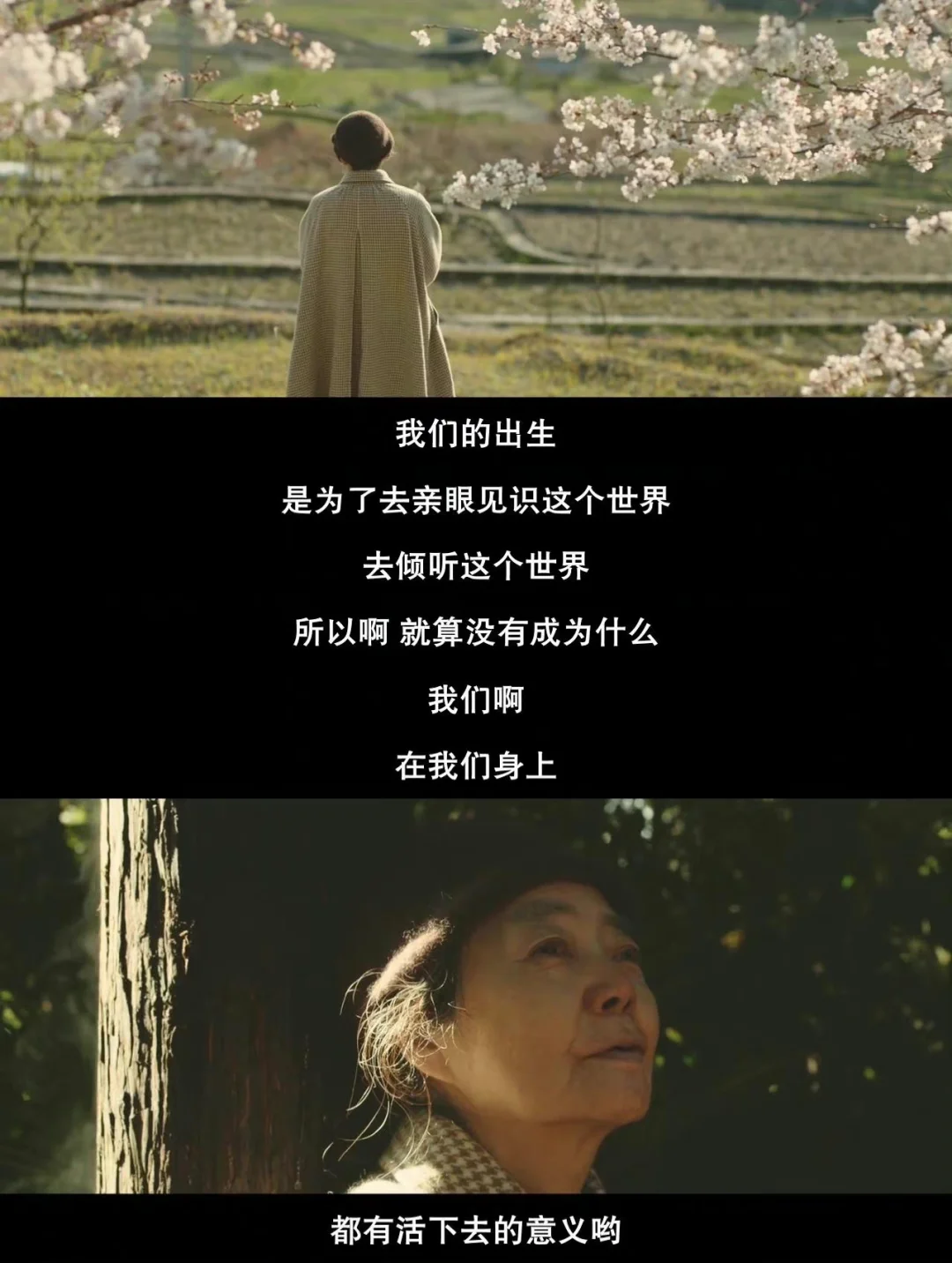 志乃全脸_志乃出场_仓木志乃