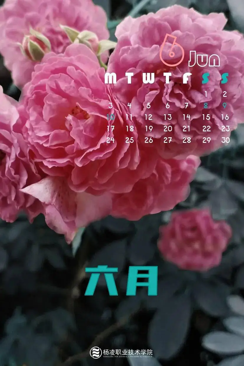 晚春是什么时候-晚春：一首未写完的诗，藏着柔情与不舍