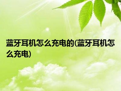 蓝牙耳机声音没有立体感怎么办_蓝牙耳机没有声音_蓝牙耳机声音没有了怎么回事