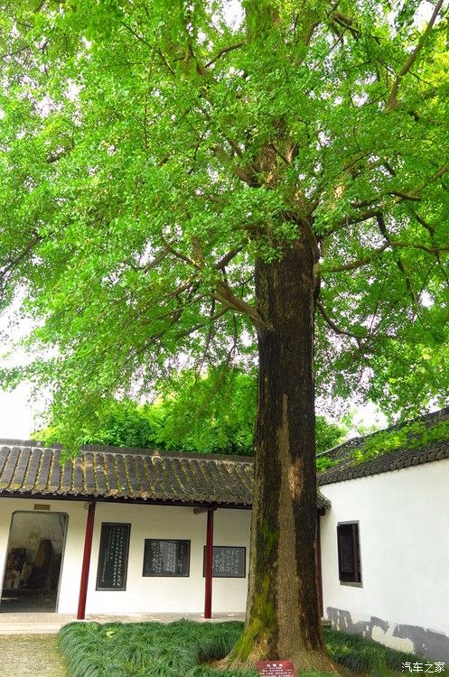 裴元绍_裴元绍_裴元绍