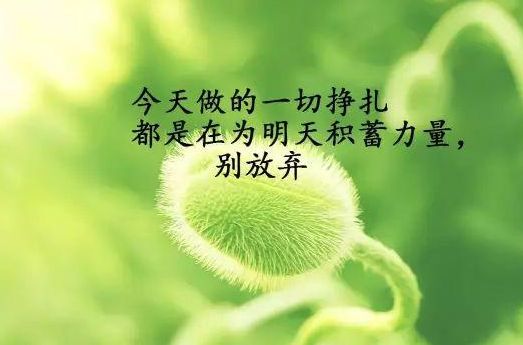 项少羽_项少羽_项少羽
