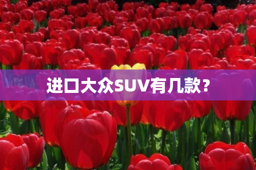 克伦威尔坦克-二战英国坦克明星克伦威尔：速度与火力的完美结合