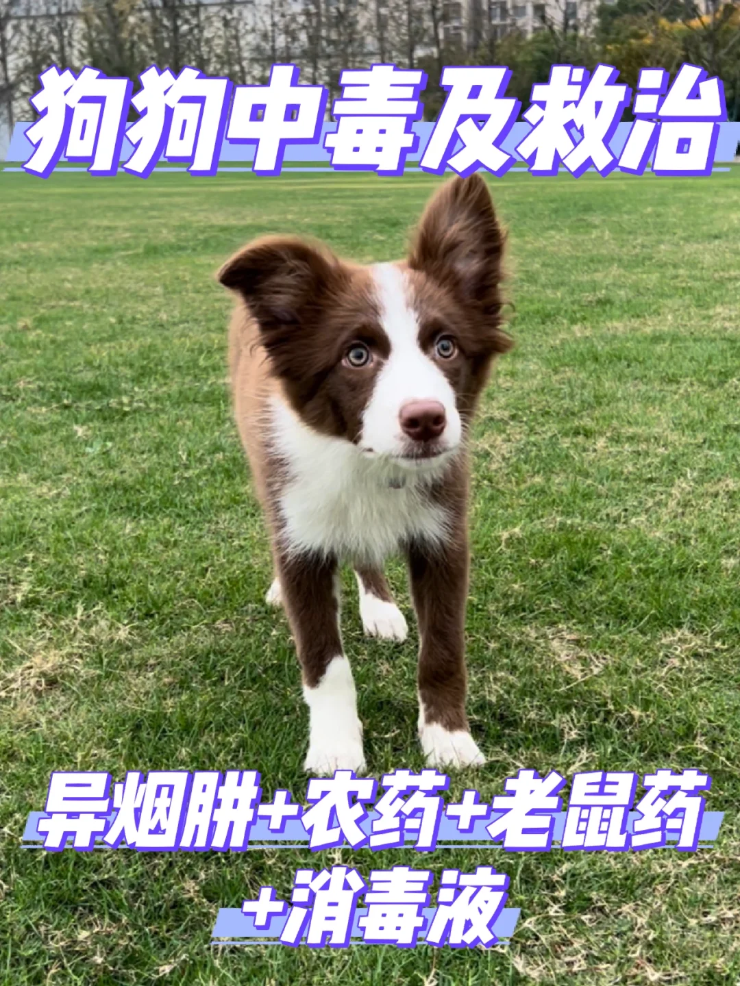 手机屏幕碎了游戏_碎屏幕手机游戏能玩吗_碎屏幕手机游戏怎么办