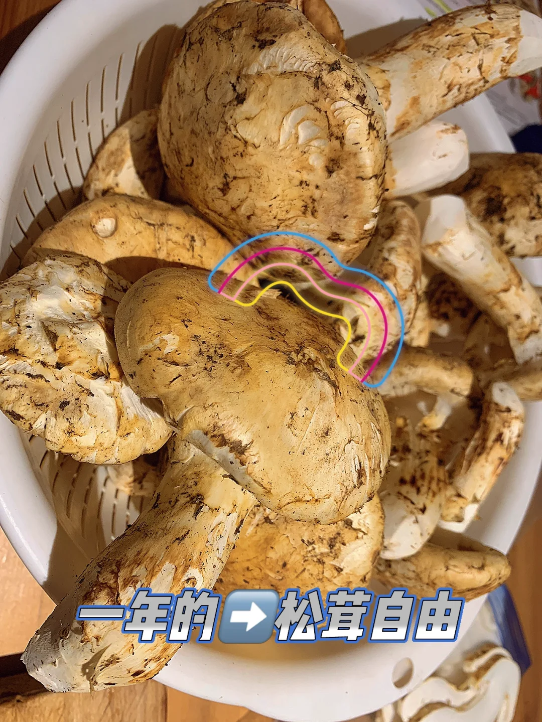 阿里云yum_阿里云域名注册入口_阿里云域名控制台