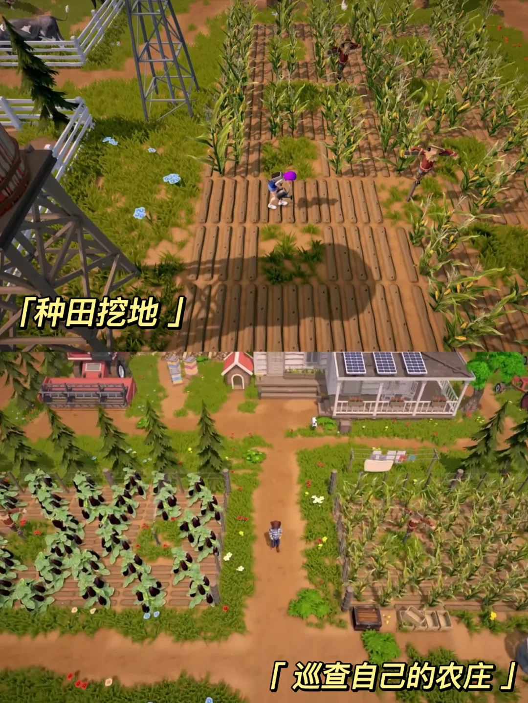 手机游戏种田恋爱_有没有可以种田恋爱的游戏_情侣种田游戏
