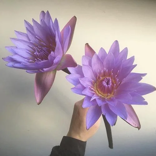 手机游戏会影响手机吗-手机游戏：让人又爱又恨的电量杀手，你还