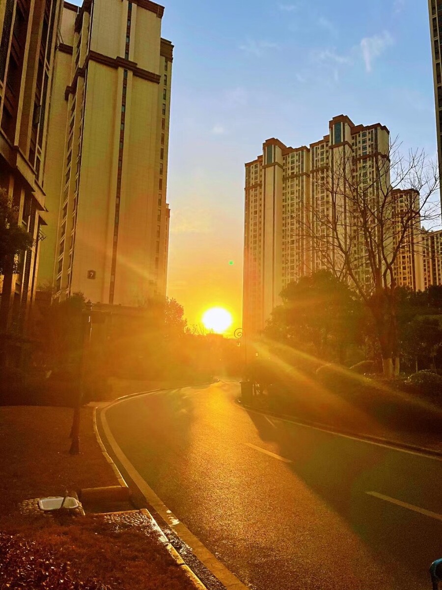 奥德里奇xo-30_奥德里奇_奥德里奇的英文