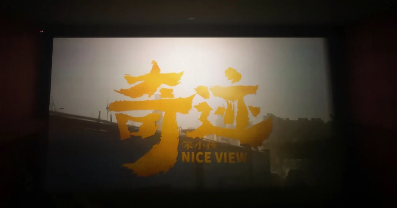 播放笨小孩_奇迹笨小孩电影_电影笨奇迹小孩是谁演的