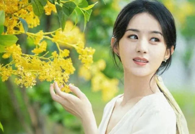 赵丽颖代言游戏手机_赵丽颖代言游戏图片_代言赵丽颖手机游戏叫什么