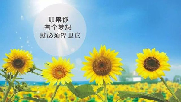 亚龙湾_龙亚_亚龙湾在三亚哪个区