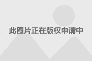 手机游戏新锐媒体_新锐媒体手机游戏软件_新锐媒体手机游戏怎么玩