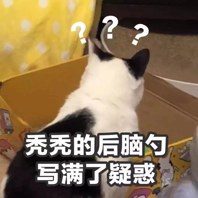 数字521的意思_521数字表示什么_数字521是什么意思