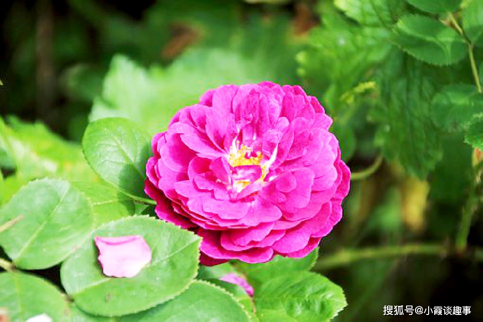 法尊_尊法守法_尊法与遵法区别