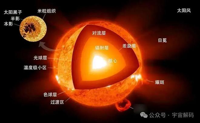 多元菌：地球最早居民的生命奇迹与生存智慧