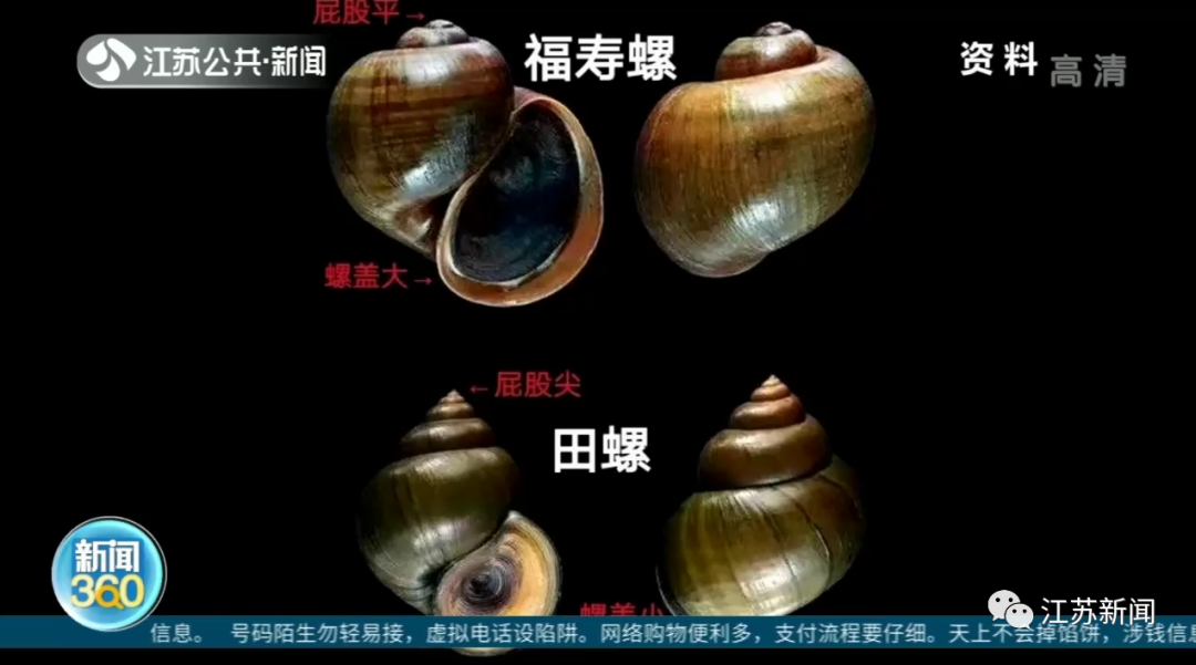手机游戏致命_致命游戏通关攻略_致命游戏手机密码
