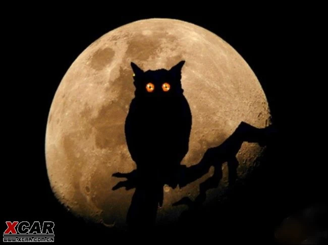 手机游戏惊魂夜-月黑风高夜，我在惊魂夜中体验恐怖刺激，欲罢不