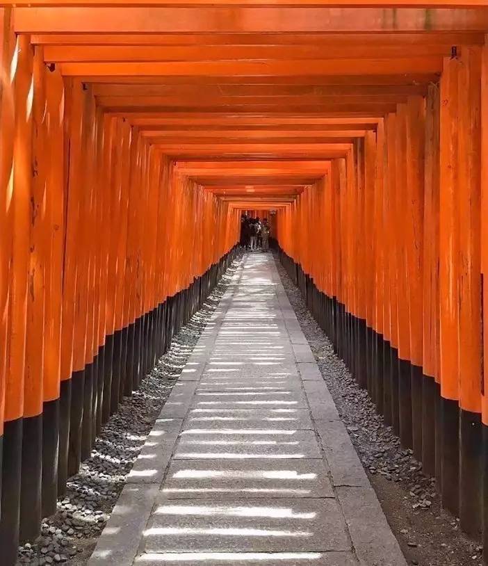 手机上一款影子的武打游戏_影子武士单机游戏_影子打斗的游戏
