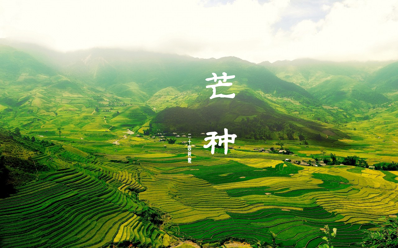2021年芒种是农历几月几日_2023年芒种是几月几日_芒种2021年几月几号