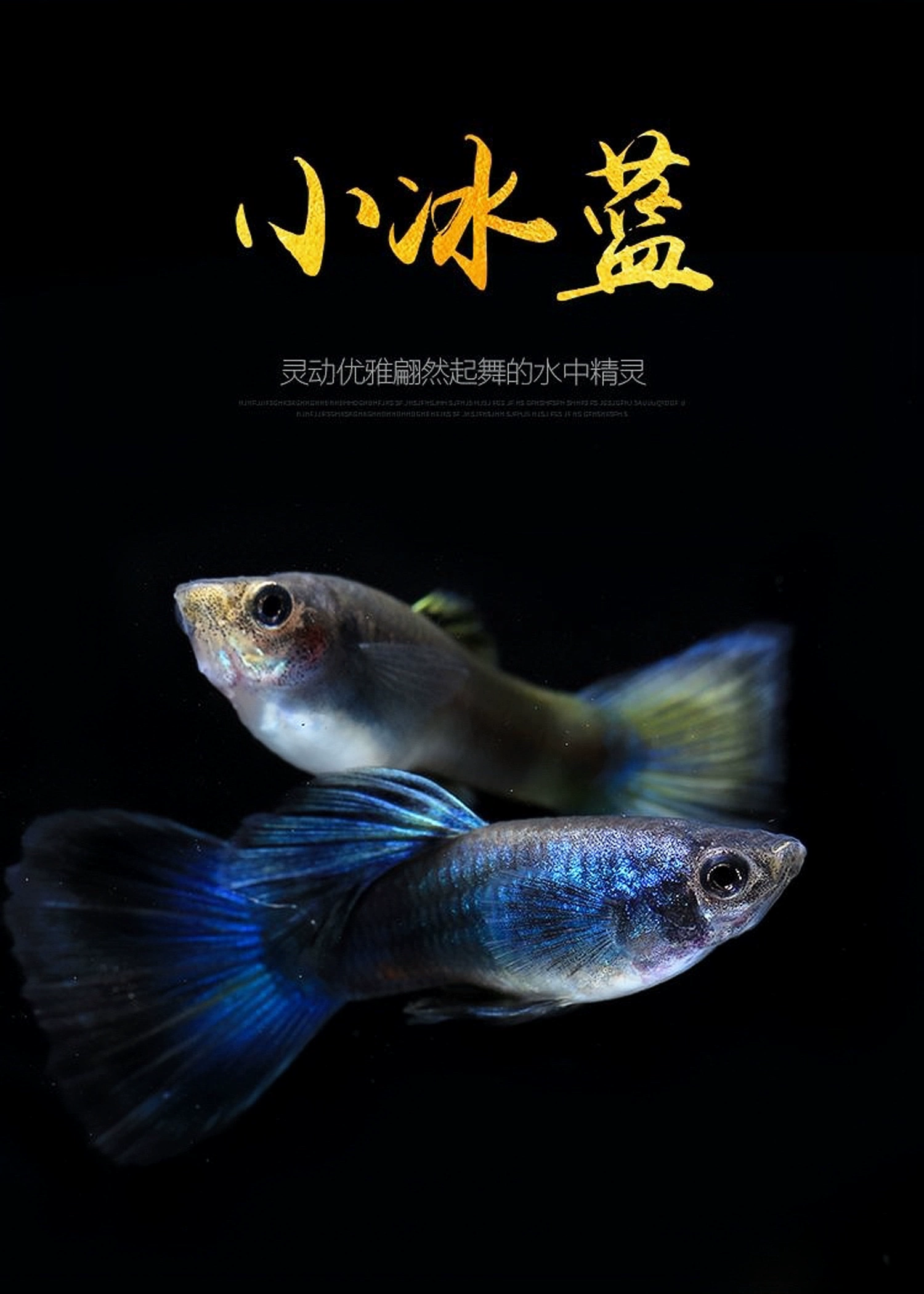 小鱼小游戏_手机游戏小鱼_小鱼手机版