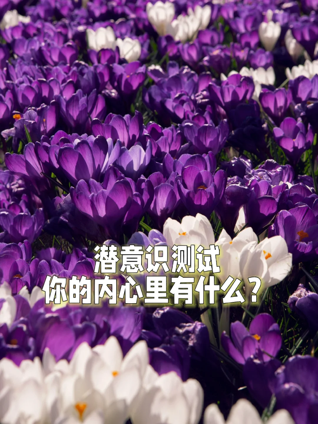 亚里莎_亚里莎_亚里莎