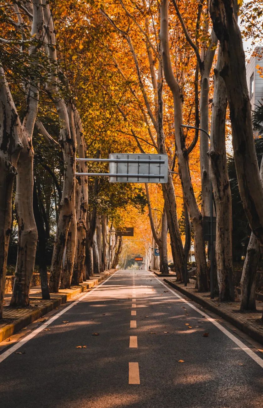 手机游戏指什么_游戏效果是什么意思_手机在游戏中的效果是什么