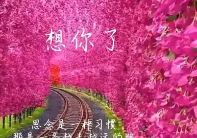 手机游戏挂念-手机游戏：情感寄托与心灵慰藉的虚拟世界