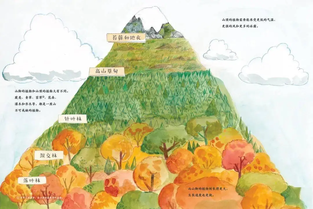 鹈饲沙树：四季更迭中，我生命不可或缺的诗