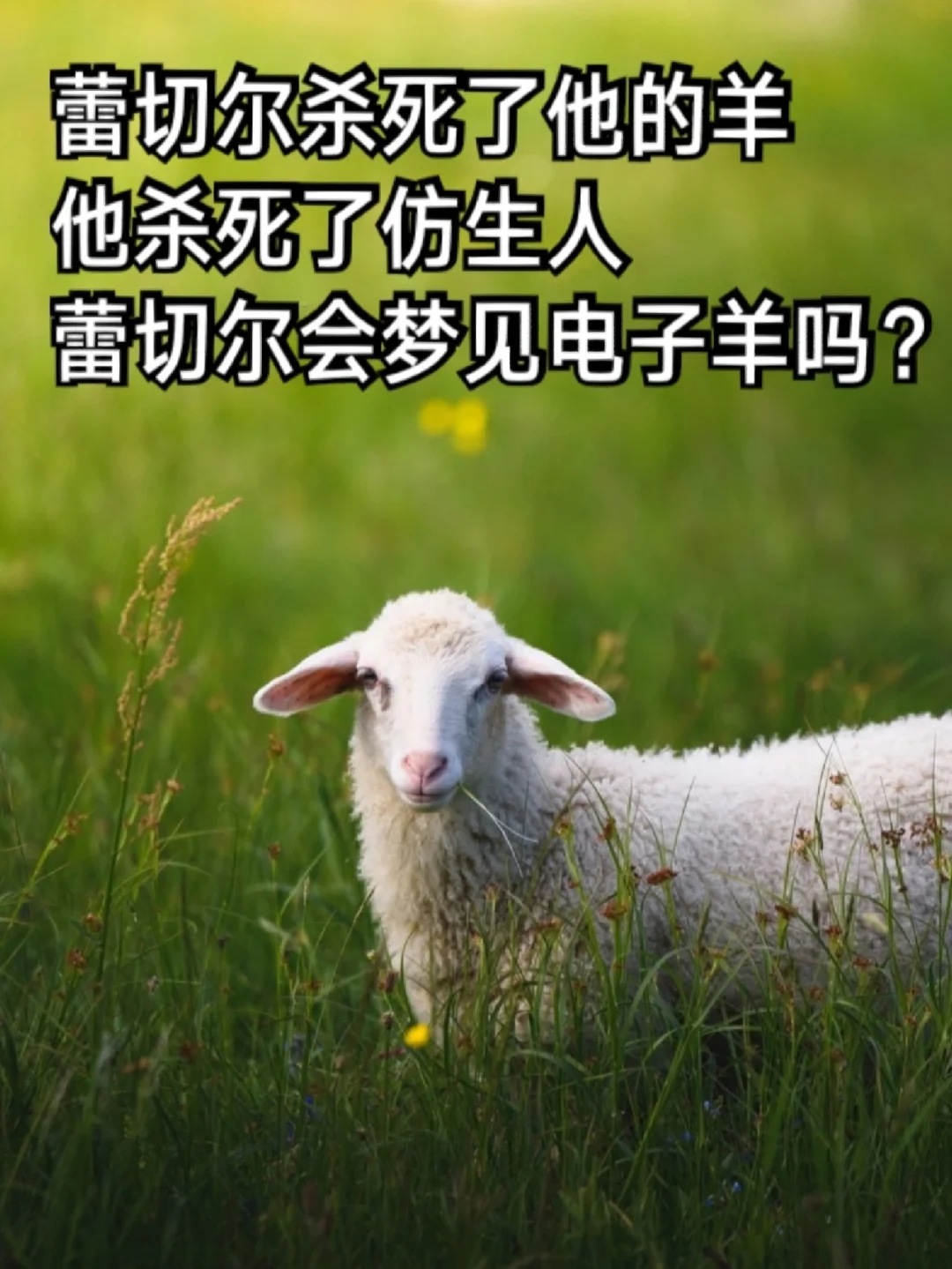 手机游戏单机冒险消除_好玩的单机消除游戏_单机消除类游戏排行榜