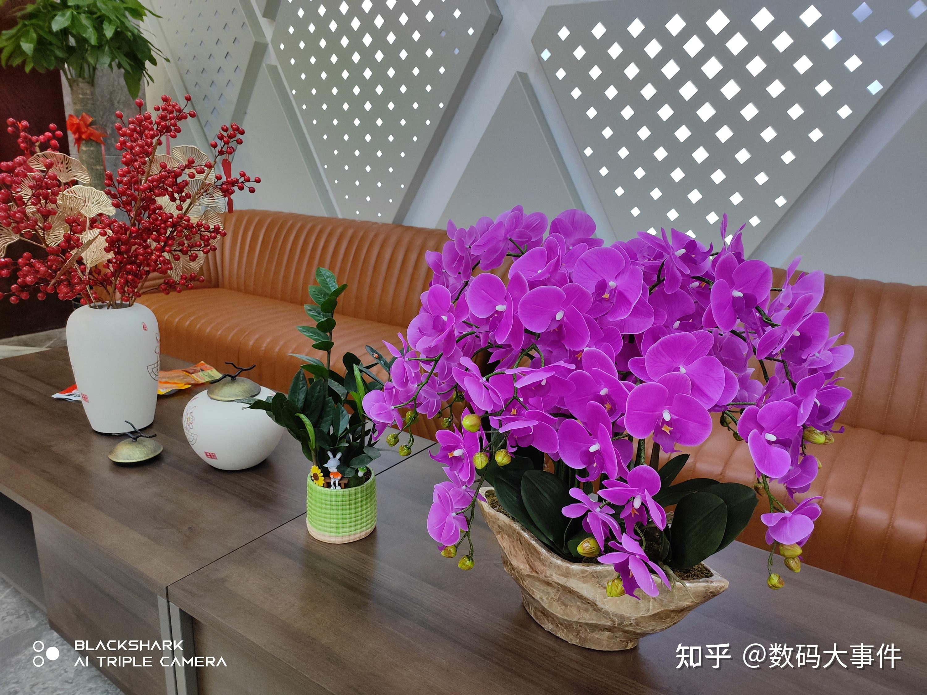 黑鲨手机游戏_打游戏手机黑鲨_手机如何玩黑鲨游戏机