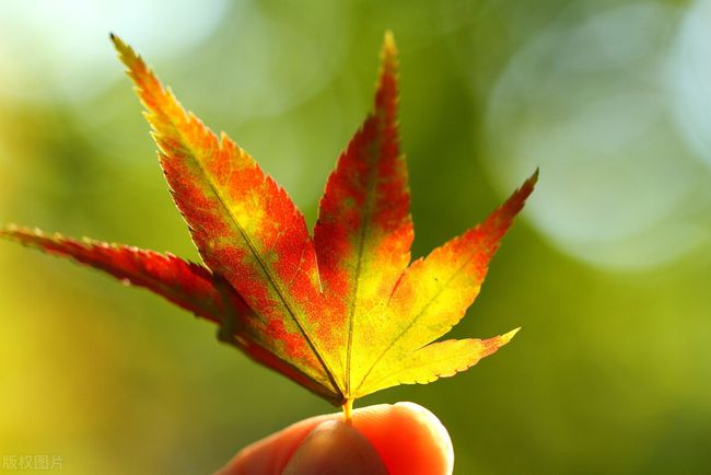 手机游戏黑金辅助_辅助小黑_辅助黑金手机游戏有哪些