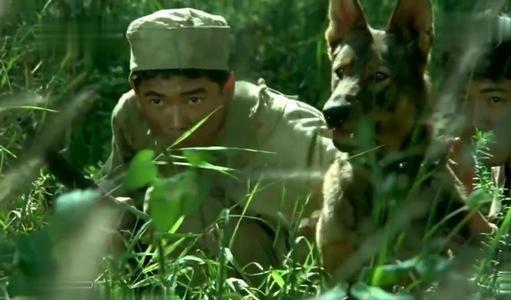 电影完整版犬王在线播放_电影完整版犬王免费观看_电影《犬王》完整版