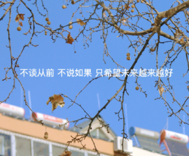 可可罗婆婆年轻时_可可罗_可可罗科酒