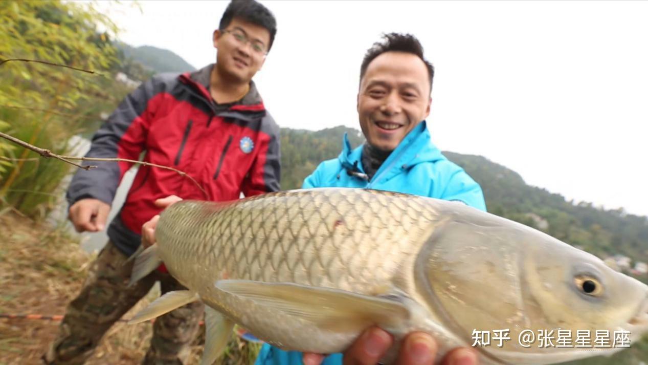 有一款钓鱼的手游叫什么名字_钓鱼知乎手机游戏有那些_手机有钓鱼游戏吗知乎