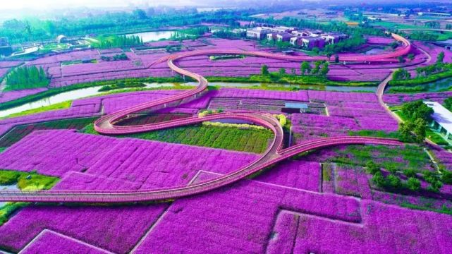 清明放假时间表2023年_202清明节放假时间_2022清明放假时间表