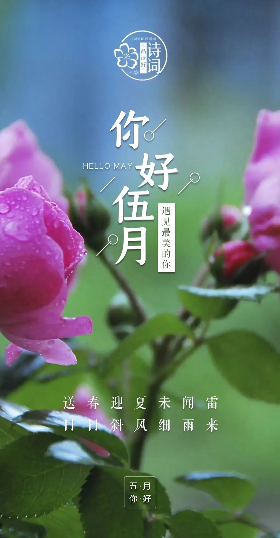 月经不调怎么办_月经不来是什么原因_5月17
