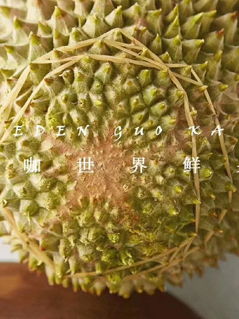 有深度的手机游戏_手机游戏深度_有深度的手机单机游戏