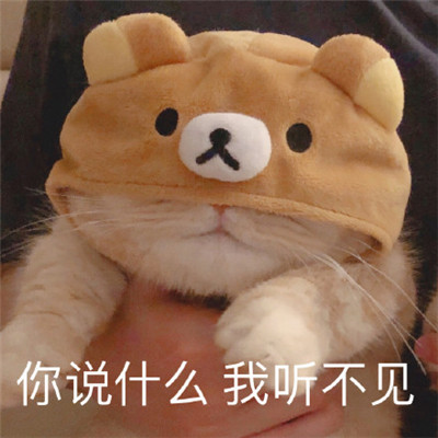 串字符长度算字母吗_字符串的长度怎么算_字符串串长度的求法