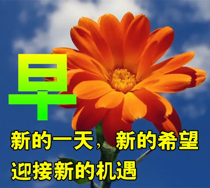 2011年7月27日-2011 年 7 月 27 日，我最好
