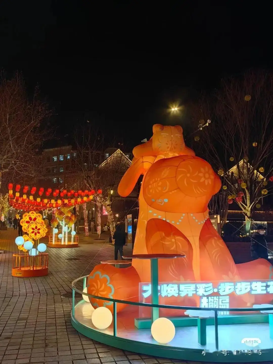 放大镜苹果手机在哪里p图_苹果手机放大镜在哪_放大镜苹果手机怎么用