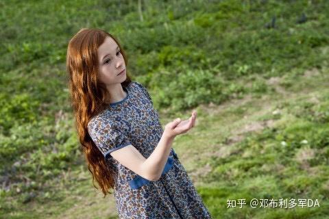 阿不福思·邓布利多_邓布利多和阿不福思_邓布利多和福吉