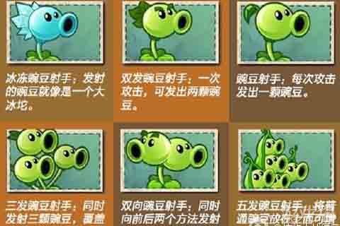 植物介绍手机游戏怎么做_手机游戏植物介绍_植物介绍手机游戏大全