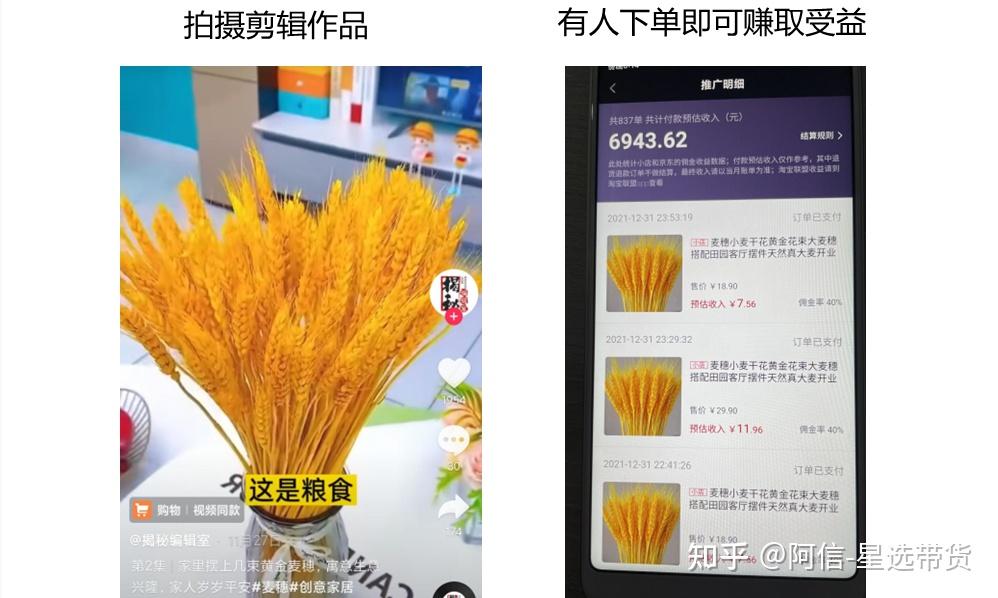 抖音怎么变现啊?-抖音变现不易，掌握技巧方能成功