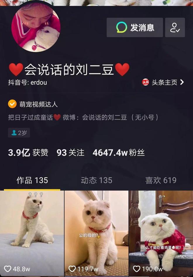 手机什么养成游戏好玩-手机养成游戏大盘点：猫咪后院、旅行青蛙